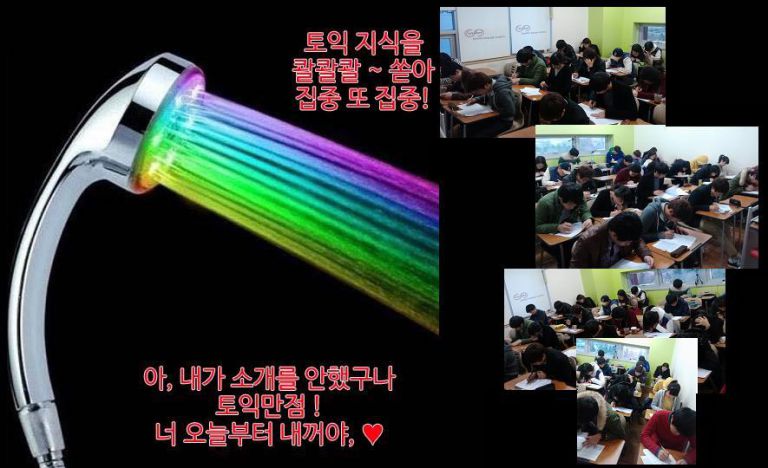 11월 정규토익대비 / 엑설런트st 무료 모의고사 현장으로 고고!